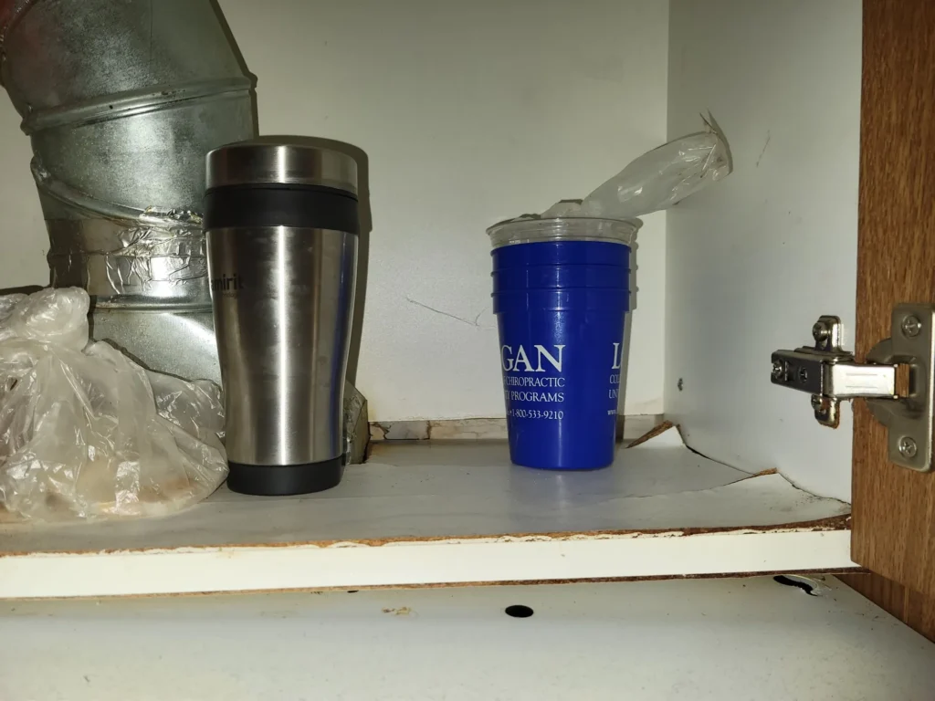 Kitchen steam cabinets damage