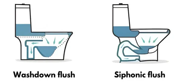 Washdown vs Siphonic Toilets